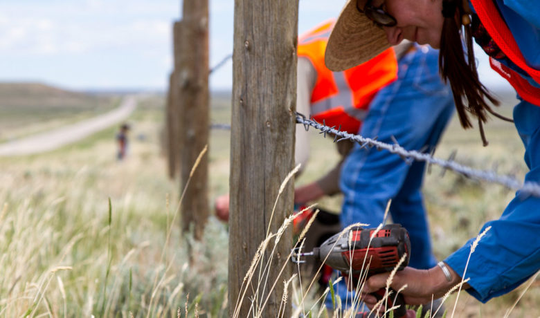 Volunteers Improve Fencing to Help Pronghorn Move Across Highway 28