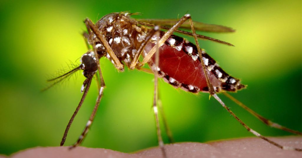 Rock Springs to Begin Mosquito Spraying July 1