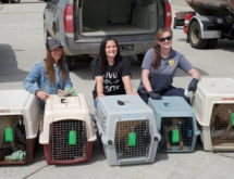 New State Testing Requirements Adds Cost to Red Desert Humane Society Rescue Operations