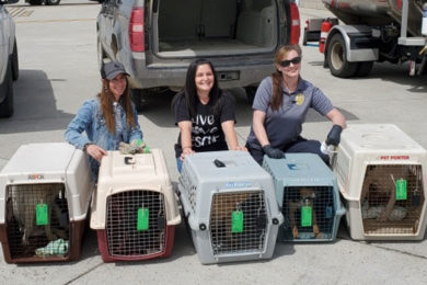 New State Testing Requirements Adds Cost to Red Desert Humane Society Rescue Operations