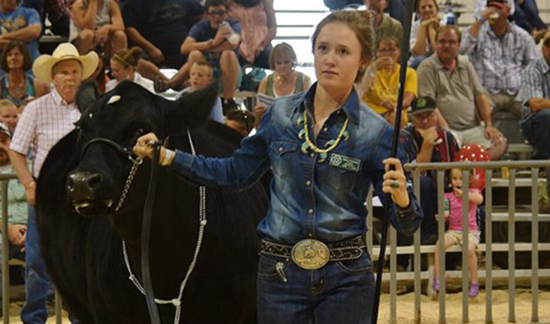Sweetwater and Daggett County Fair Wraps Up With Annual 4-H Livestock Auction–Live and Online