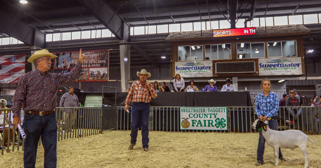 Sweetwater and Daggett County Fair Starts Monday