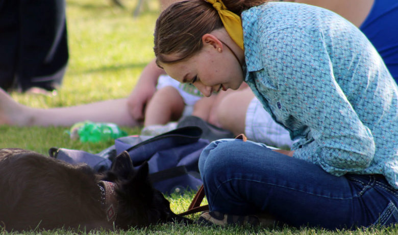 Hotdoggers 4-H Club Puts on Puptastic Dog Show at Fair
