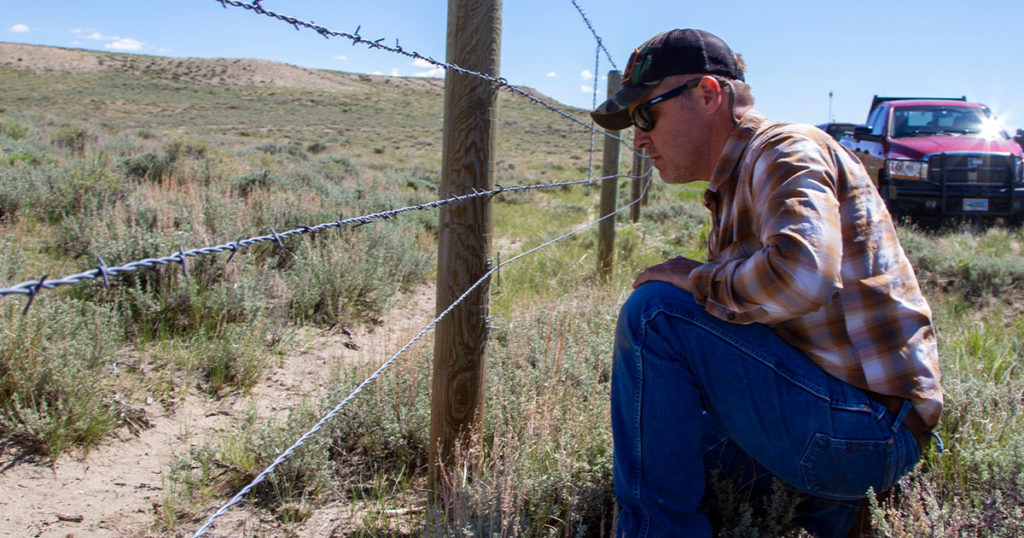 OPINION: Management Plan Must Protect Greater Little Mountain Area