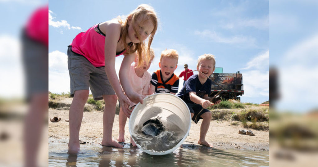 6,000 Jumbo Channel Catfish Stocked in 19 Community Fishing Ponds