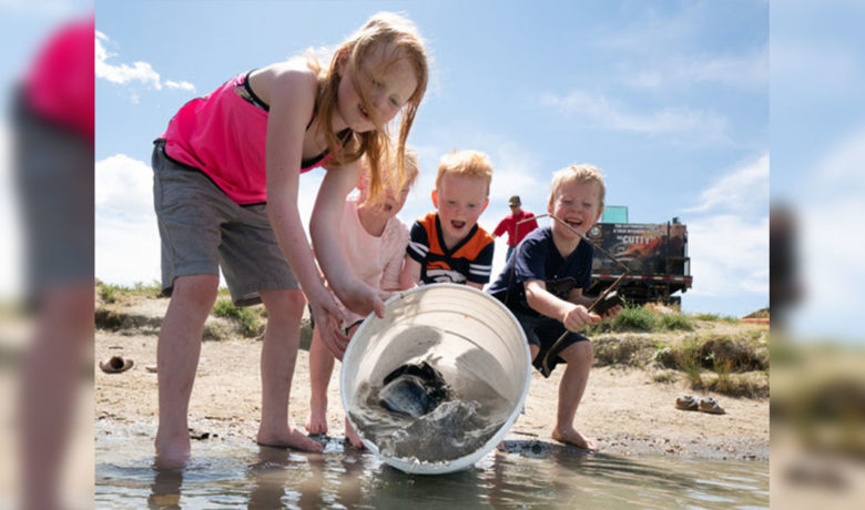 6,000 Jumbo Channel Catfish Stocked in 19 Community Fishing Ponds