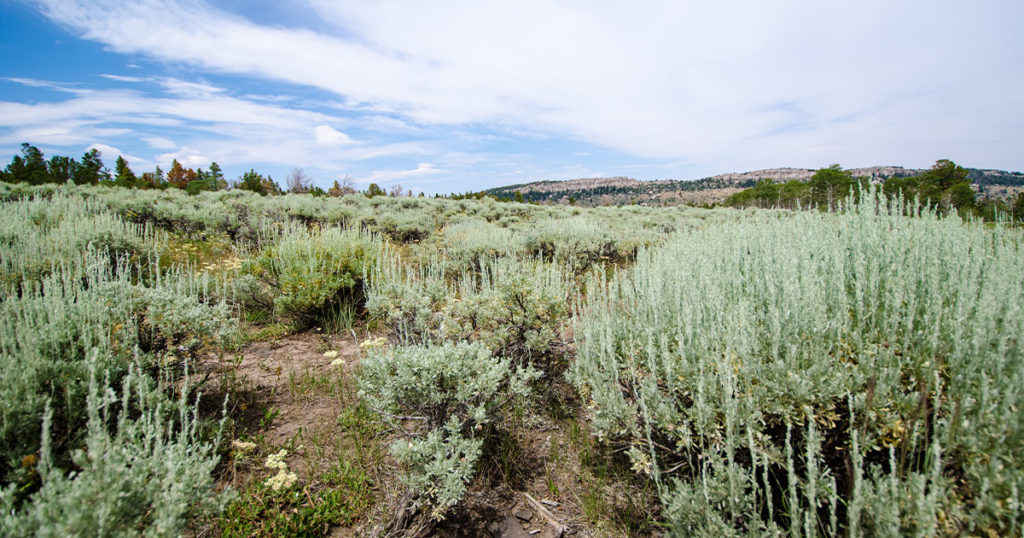 Wyoming Land Purchase Takes Another Step Forward