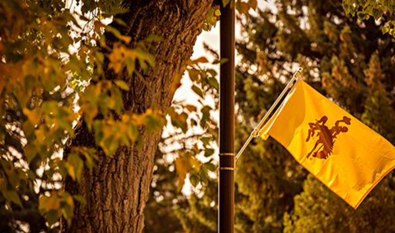 UW’s Homecoming to Have Virtual Activities This Fall
