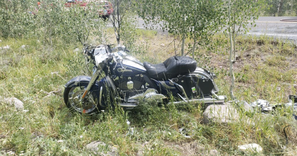 Motorcyclist Passes Away After Collision with Wildlife