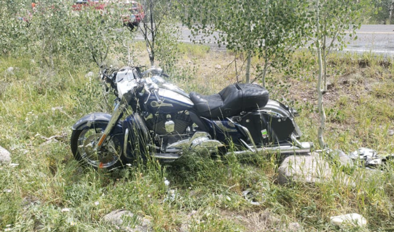 Motorcyclist Passes Away After Collision with Wildlife