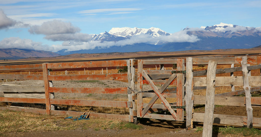 Reclaiming Wyoming’s Future Webinar Series Continues