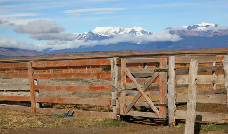Reclaiming Wyoming’s Future Webinar Series Continues