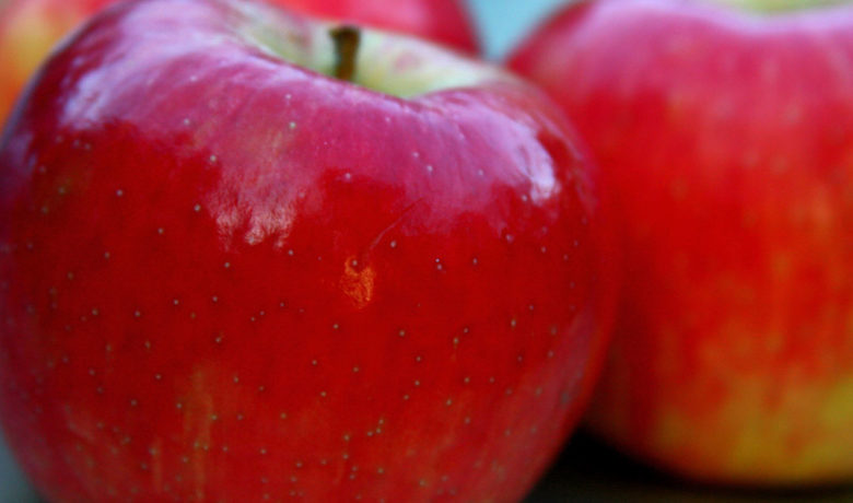 Local Agencies Receive Funds to Provide Emergency Food and Shelter Services