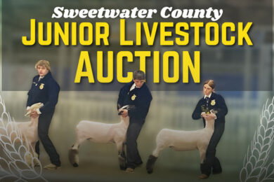 Get Ready for the Sweetwater County Junior Livestock Auction
