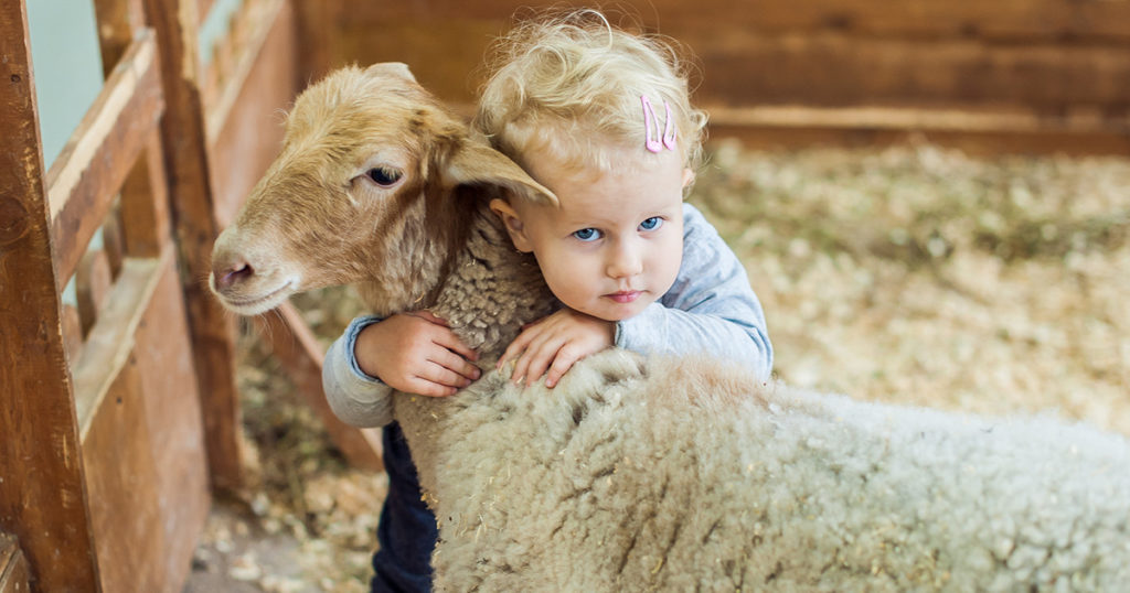 Looking for the Exceptional Preschool?