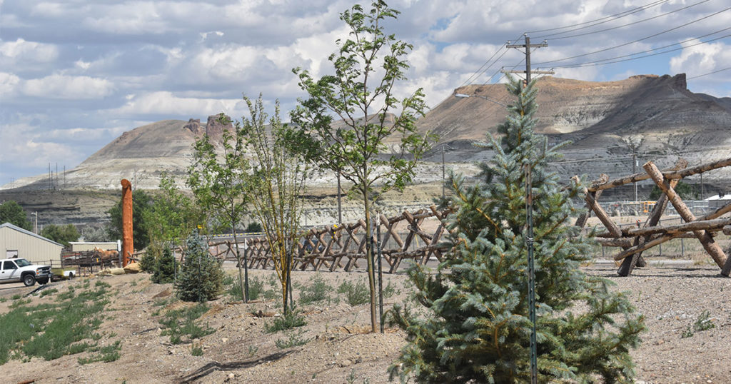 Green River Parks and Recreation Plant Trees Along East Teton Boulevard