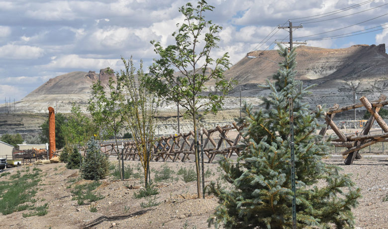 Green River Parks and Recreation Plant Trees Along East Teton Boulevard