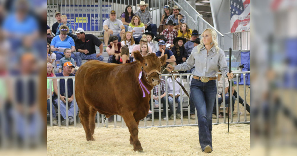 FFA, 4-H Participants Prepare for Wyoming’s Big Show