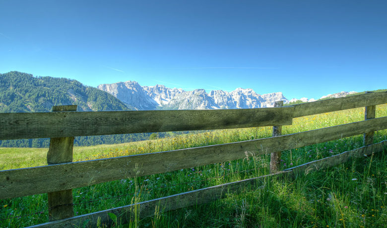 Bureau of Land Management Seeks Help Cleaning up Fences near Pinedale