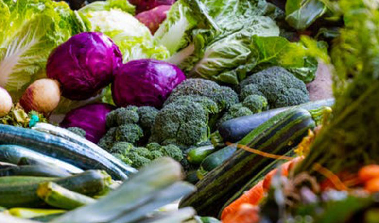 Local Senior Centers Benefit from Wyoming Hunger Initiative Grants