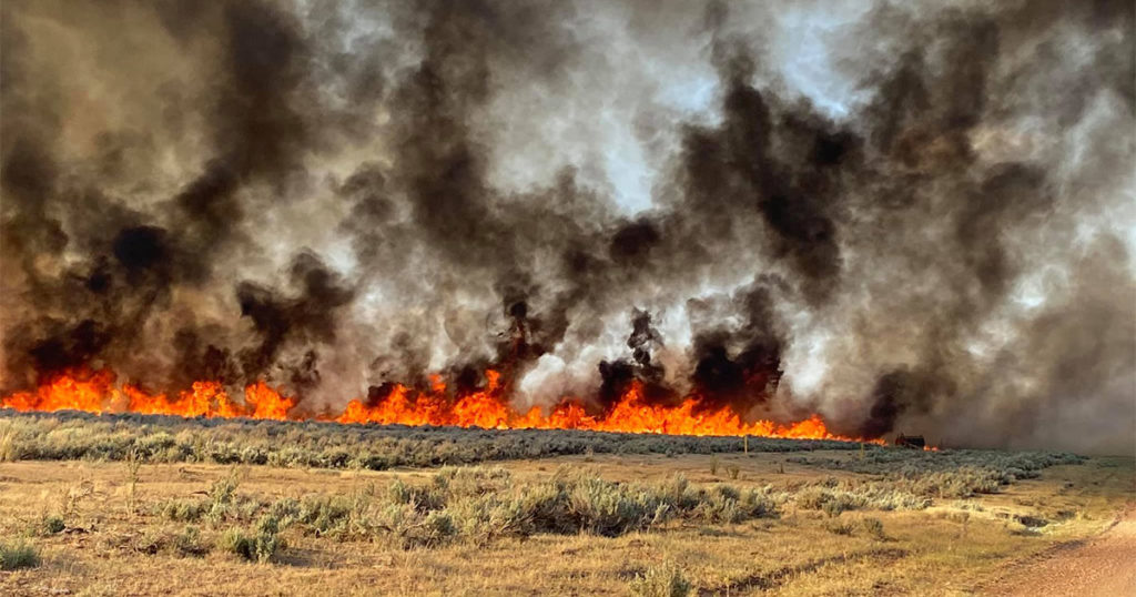 Fire Crews Continue to Battle Painter Fire near Evanston