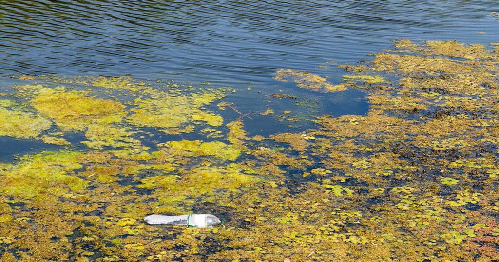 Flaming Gorge Reservoir Being Tested for Harmful Algae Blooms