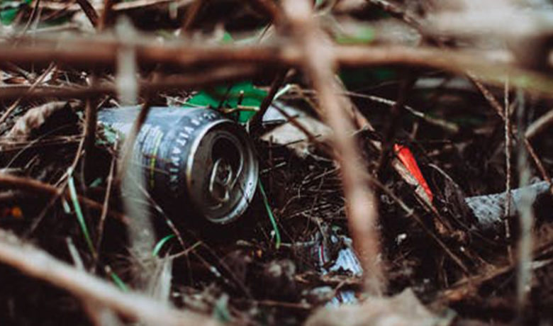 BLM Invites Community to 2020 National Public Lands Day Event