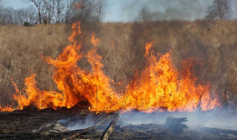 Elevated Fire Danger Warning Issued for Sweetwater County for Tuesday
