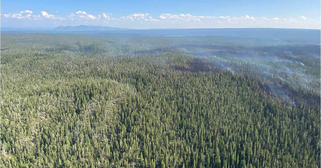 Warmer Temperatures and Gusty Winds Lead to Increased Activity on Lone Star Fire