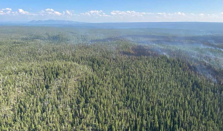 Warmer Temperatures and Gusty Winds Lead to Increased Activity on Lone Star Fire