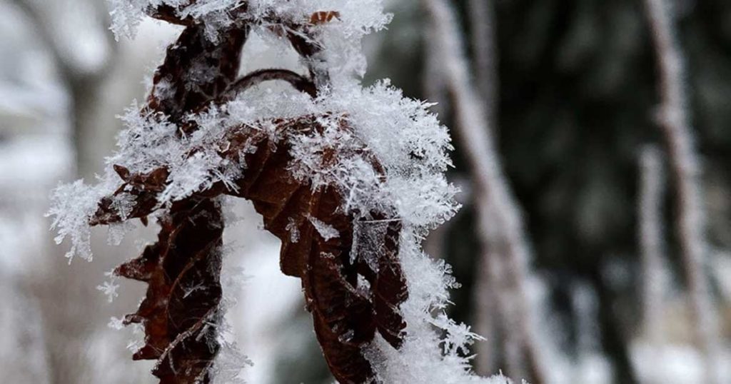 ‘Strong Cold Front’ May Bring Late Summer Snow to Wyoming This Weekend