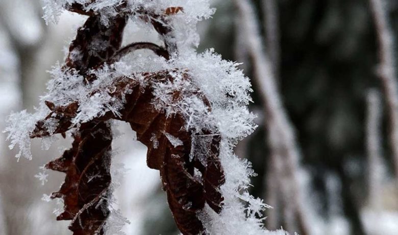 ‘Strong Cold Front’ May Bring Late Summer Snow to Wyoming This Weekend