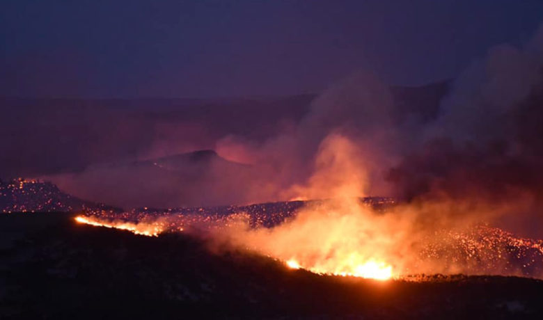 Minimal Containment on Richard Mountain Fire