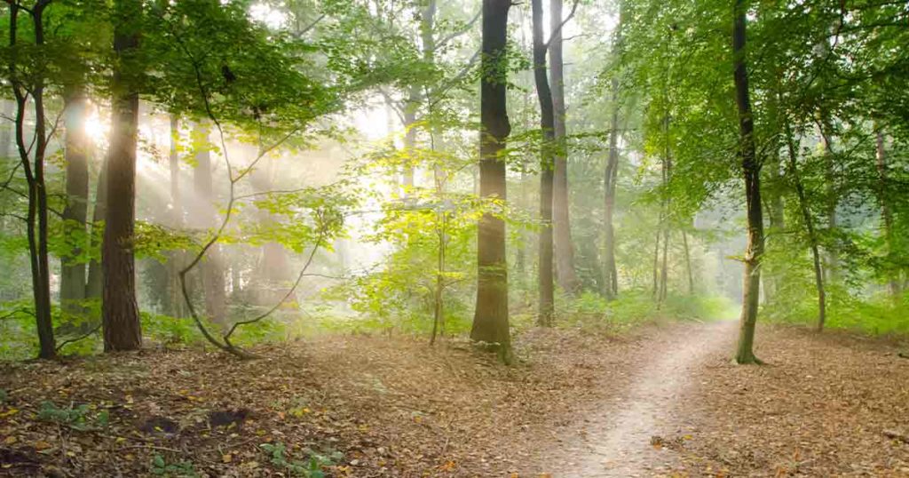 Game and Fish to Host Trapping Meetings