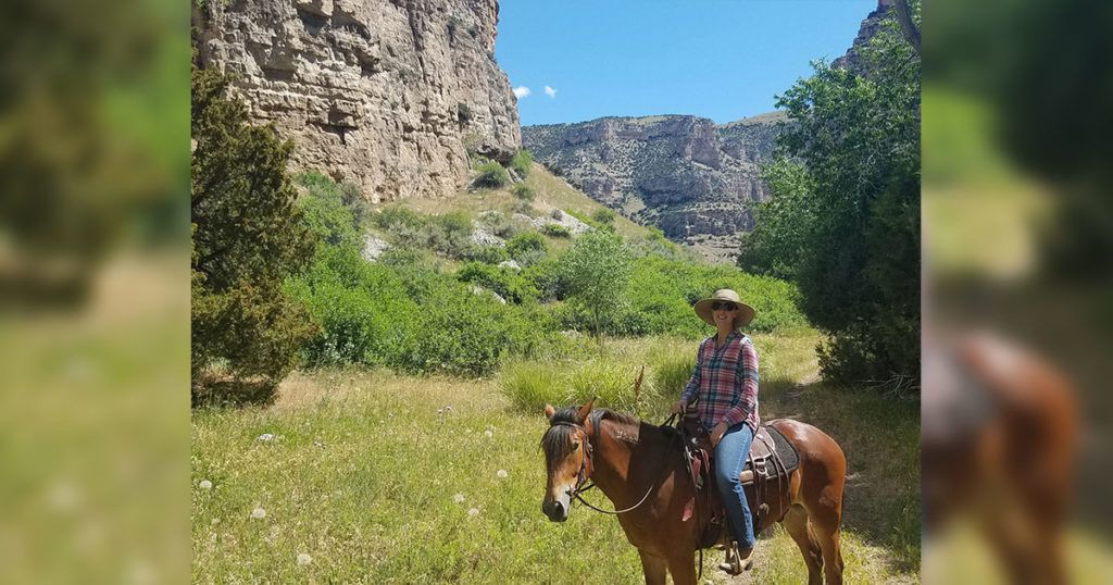 Want to Adopt a Wild Horse or Burro