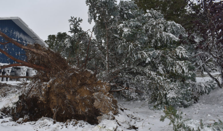 Green River Power Outage Expected Through This Evening