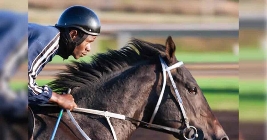 Investigation Shows Local Horse Racing Accidents Were Isolated Incidents