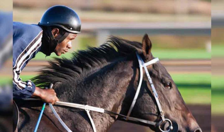 Investigation Shows Local Horse Racing Accidents Were Isolated Incidents