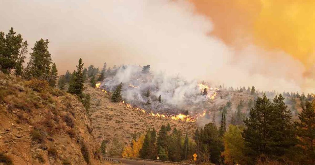 More Firefighters Respond to Mullen Fire, Only 2 Percent Contained
