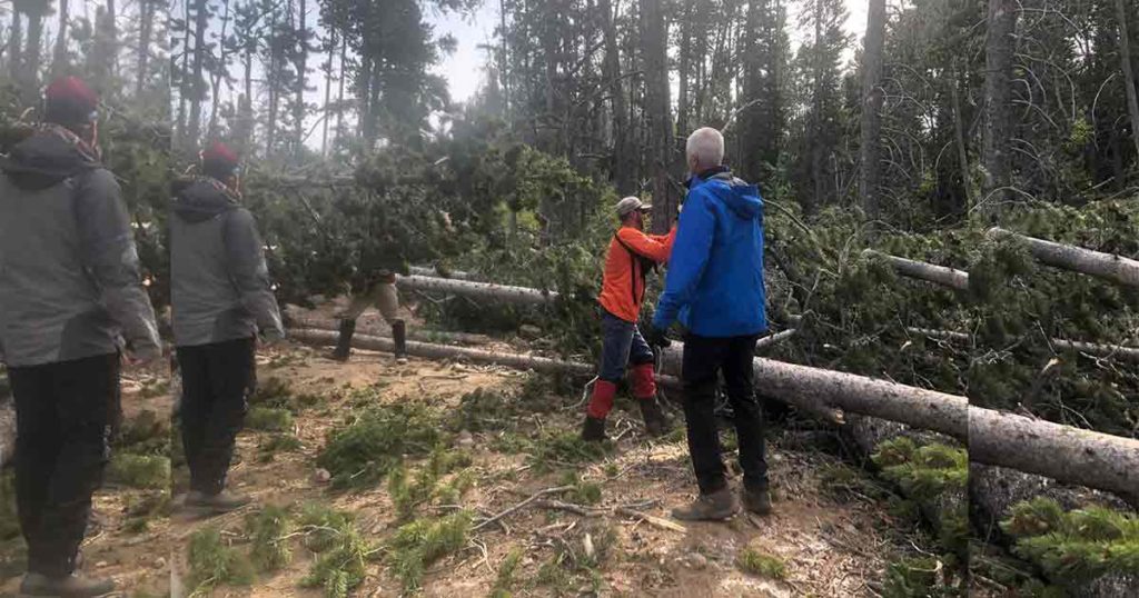 Tip Top Search and Rescue Responds to Numerous Calls over Holiday