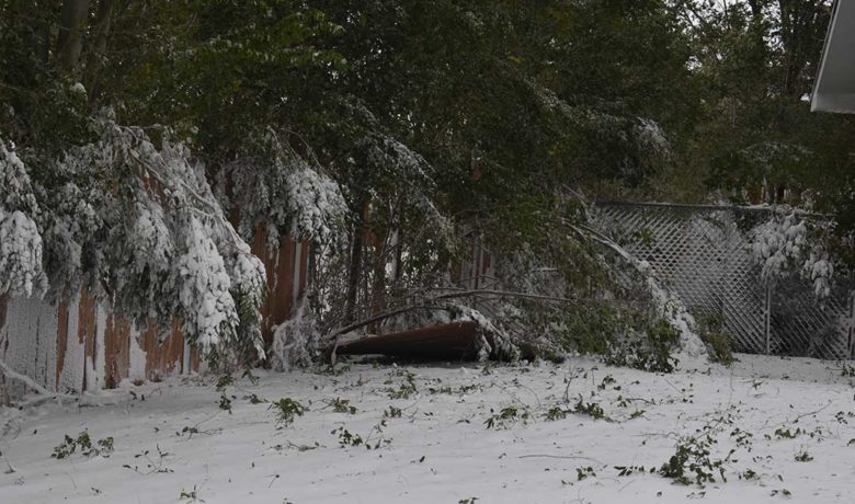 Community Cleans Up Late-Summer Storm Aftermath in Green River