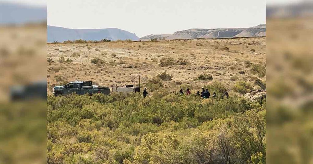 Bear Found and Captured Near Rock Springs