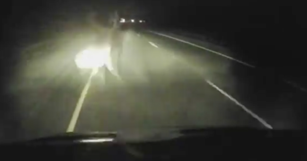 WATCH: Evanston Man Gored by Elk in I-80 Crash