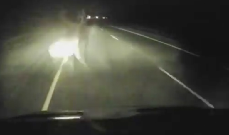 WATCH: Evanston Man Gored by Elk in I-80 Crash
