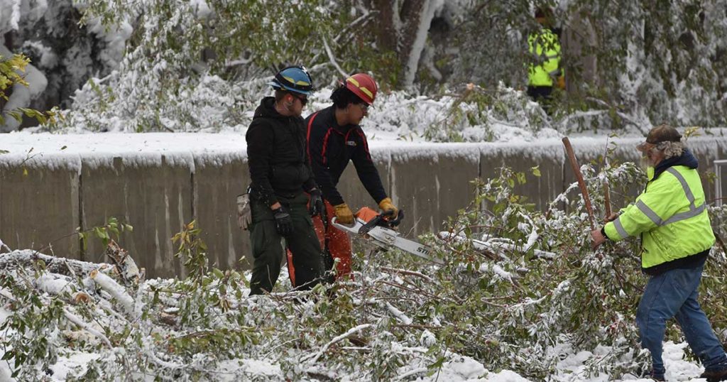 Green River Seeks Grant to Replace Trees Uprooted by Late-Summer Storm