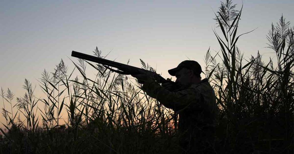 Wyoming Game and Fish Refunds Big Game Licenses in Mullen Fire Area