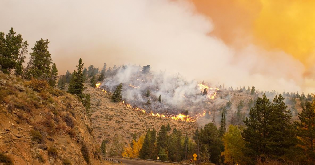 State Resources Directed by Governor Gordon to Provide Support on Mullen Fire
