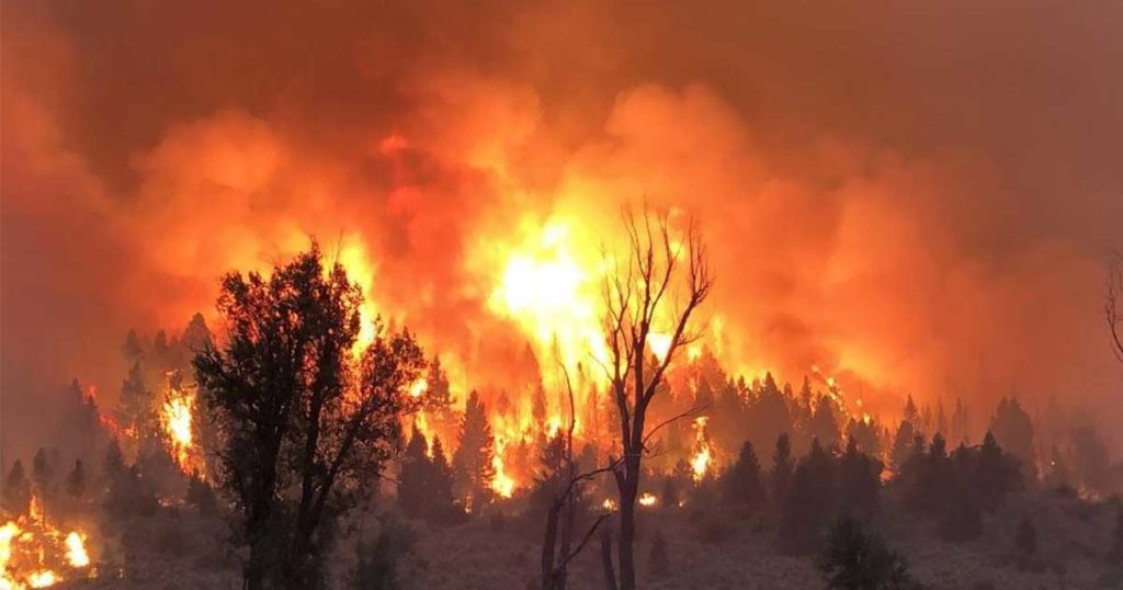 Strong Winds and Smoke Force Crews to Pull Back from Mullen Fire Saturday Night