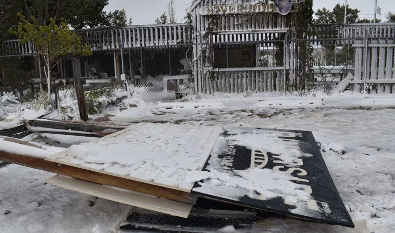 Riverside Nursery Looking on the Bright Side Amid Storm Damages