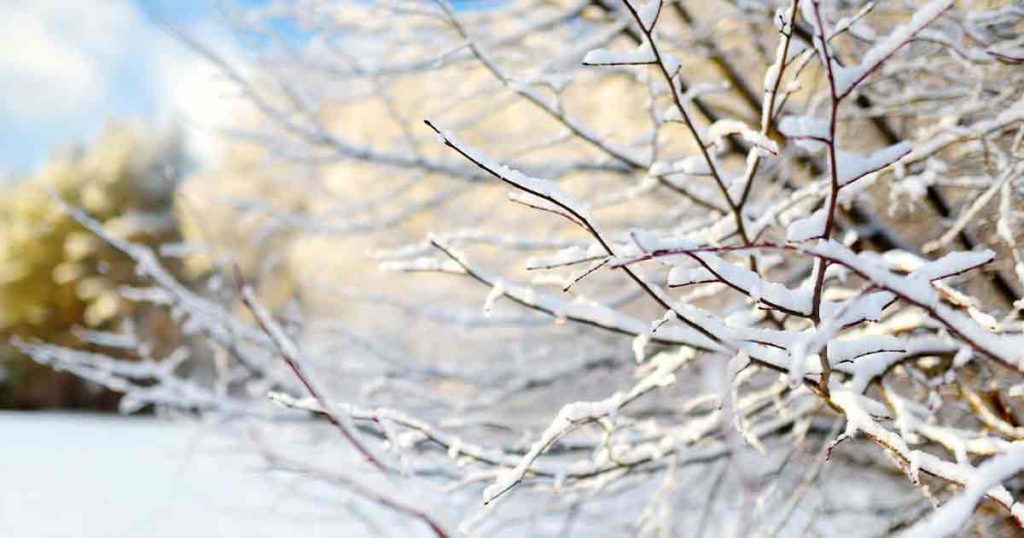 Sweetwater County Will Go from Red Flag Warnings to Winter Storm Watch